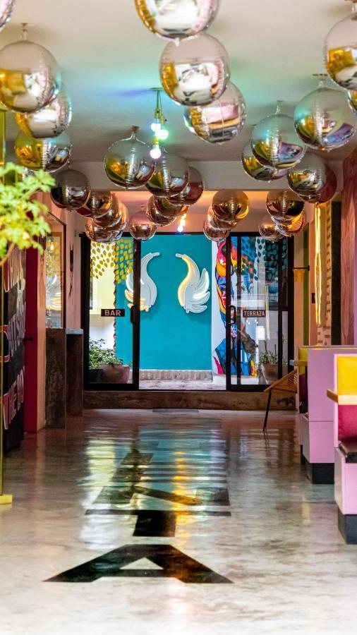 Hotel Suculenta Boutique San Cristóbal de Las Casas Exteriör bild